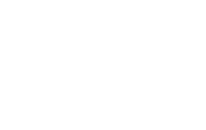 PartyFactory-Logo-invert